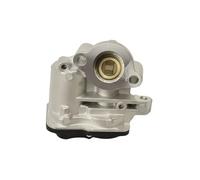 FAST FT60244 Vanne EGR