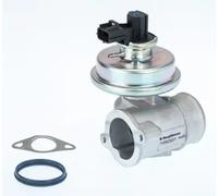 Soupape EGR AGR pneumatique 710923D BorgWarner (Wahler) pour FORD JAGUAR