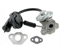 NTY EGR-CH-009 Vanne EGR