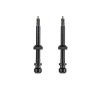 Soupape en tube Schwalbe (x2) Noir
