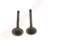 Soupape Pour Yamaha Mz175 ( 7Cn-E2111-00 )