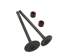 Soupapes d'admission et d'échappement de Scooter, for SYM Fiddle 3 Jet 14 Symphony ST SR 125cc 200cc E4 14711-F8A-000 14721-F8A-000