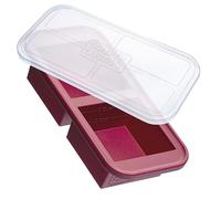 Souper Cubes Plateau de congélation en silicone pour 2 tasses avec couvercle - Récipient facile à préparer et solution de rangement de cuisine - Moule en silicone pour la soupe et le stockage des