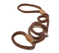 Souple Corde Laisse pour Chien 2 en 1 Collier Laisse de Dressage Corde entraînement Chien Lasso de Glissement éducative Plomb Formation l'Obéissance pour Petit Moyen Grand Chien (S, Marron -1.5M)