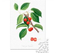 Sour Cherry Puzzle De 1000 Pièces pour Adultes, 52x38cm/1000pcs, Carton Blanc Facile À Manipuler; Pause Calme Pendant Le W nd