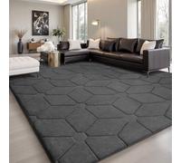 Sour Lemon Tapis 3D pour Salon et Chambre à Coucher, Extra Large, Lavable en Machine, antidérapant pour Chambre à Coucher, Salon, 305 x 170 cm, Gris