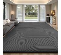 Sour Lemon Tapis Salon 160x230cm, Tapis 3D Anthracite avec Design Circulaire, Tapis Flannel à Poils Courts Lavable, Antidérapant, pour Chambre, Salle à Manger, Cuisine et Bureau