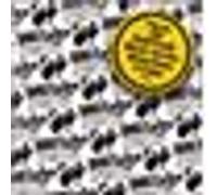 Source labs 1995 - 2002