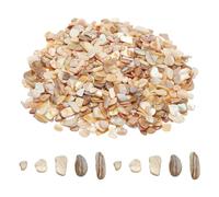 sourcing map 1000g Éclats de Mosaïque Coquillages Concassés Irréguliers pour Décoration Intérieure, Artisanat et Projets DIY - Couleur Principale