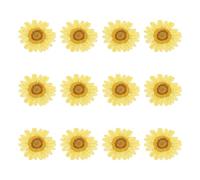 sourcing map Lot de 12 fleurs séchées pressées de 2,5 à 3 cm, fleurs de chrysanthèmes séchées colorées en vrac pour nail art, résine, bijoux, bougies, fabrication de cartes, scrapbooking, coque de