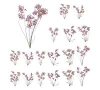 sourcing map Lot de 18 fleurs séchées naturelles pressées pour loisirs créatifs, bouquets colorés en dentelle pour moules en résine, scrapbooking, bougies, fabrication de bijoux, violet clair