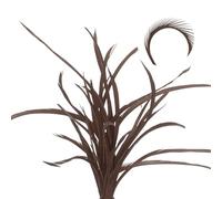 sourcing map Lot de 30 plumes d'oie colorées pour attacher les mouches en vrac, 13 à 17 cm, plumes d'oie colorées pour loisirs créatifs, café foncé