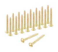sourcing map Lot de 58 vis à bois M2 x 16 mm à tête ronde fendue en laiton autotaraudeuses rapides en métal pour appareils ménagers d'intérieur, meubles de travail du bois