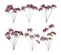 sourcing map Lot de 6 fleurs séchées naturelles pressées pour loisirs créatifs, bouquets colorés en dentelle pour moules en résine, bricolage, scrapbooking, bougie, fabrication de bijoux, violet foncé