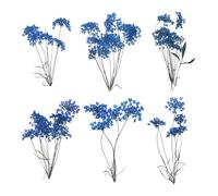 sourcing map Lot de 6 fleurs séchées naturelles pressées pour travaux manuels, bouquets colorés en dentelle pour moules en résine, scrapbooking, fabrication de bijoux, bougies et bijoux, bleu foncé