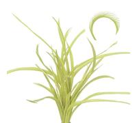 sourcing map Lot de 60 plumes d'oie colorées pour fixation de mouches en vrac, 13 à 17 cm, plumes d'oie colorées pour loisirs créatifs, vert clair