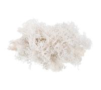 sourcing map Mousse artificielle naturelle préservée de 9,9 g pour loisirs créatifs, projet floral, projet de bricolage, mur, mariage, jardin, terrasse, table, terrarium, décoration (blanc)