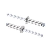 sourcing map Rivets Aveugles 304 Acier Inoxydable Rivets Traction Noyau Décoration Rivets 5mm Diamètre 20mm Prise Longueur Argenté 100Pcs