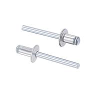 sourcing map Rivets Aveugles Rivets Traction Aluminium Noyau Décoration Rivets 6mm Diamètre 10mm Prise Longueur Argenté 25Pcs