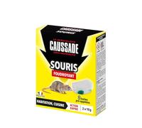 CASABOIT2 Rats & Souris - Pat appât Prevention + Poste D'appâtage - 120 g Cau