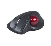 Speedlink Souris Aptico Sans fil Noire