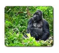 Souris confortable tapis - Silverback gorille de montagne 23,5 x 19,6 cm (9,3 x 7,7 pouces) pour les ordinateurs et ordinateurs portables, de bureau, cadeaux, Base antidérapante - RM3014