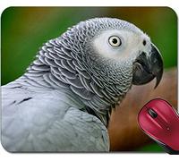 Souris De Bureau, Perroquet Gris Perroquet Gris D'Afrique Psittacus Erithacus Profil De Visage Tapis De Souris Base en Caoutchouc Mousepad Durable Mouse Pad pour Souris Pc 25X30Cm