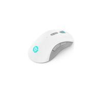 Souris de jeu - LENOVO - Legion M600 - Filaire - Optique - Blanc/Gris