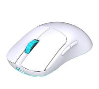 Souris de Jeu Rechargeable, 2.4Ghz 10000DPI Gamer Mouse, DualModes sans Fil/Fil et Fonction de Mise en Veille Automatique réglable pour PC/Ordinateur Portable (Blanc)