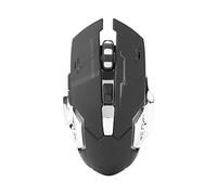 Souris de Jeu sans Fil 2.4G, Souris Ergonomiques avec Réglage DPI (jusqu'à 2400 DPI), Lumière LED Colorée, Batterie Rechargeable de Grande capacité, pour PC de Bureau pour Ordinateur Portable (Noir)