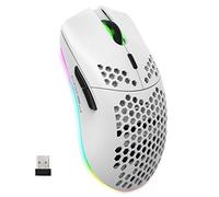 Souris de Jeu sans Fil, Souris RGB Ergonomique en Nid d'abeille Léger 2,4G avec Batterie Rechargeable 750mAh, Économie D'énergie, 6 Boutons pour Windows, Mac OS, Ordinateur Portable, Smart TV(Blanc)