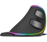 Souris d'ordinateur ergonomique - Delux M618 RGB Noir