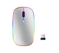 Souris d'ordinateur sans fil avec LED RVB double mode Bluetooth/WiFi Silver