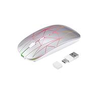 Souris d'ordinateur sans Fil avec lumière RVB, Souris Optique Ergonomique 2.4G, Souris Fine et silencieuse, Souris Optique Mobile et Portable pour Le Bureau (Argent)