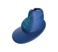 Souris Ergonomique - Delux - M618XSD - Sans Fil - Bluetooth 4.0 - 4000 DPI - Écran OLED