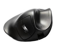 Prestige International Handshoe souris Bureau Droitier RF sans fil Laser 1000 DPI