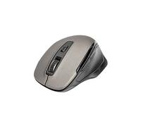 - Souris - ergonomique - optique - 6 boutons - sans fil - 2.4 GHz - récepteur sans fil USB - noir/gris