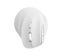 Souris Ergonomique Sans Fil BLUESTORK ERGO Lumineuse PC MAC Noir