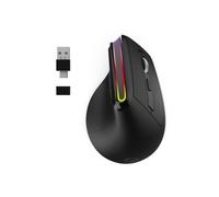 The Mobility Lab Souris verticale ergonomique pour droitiers 5 boutons sans fil BT 2.4GHz USB-C noir