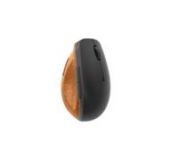 Lenovo Go souris Bureau Droitier RF sans fil Optique 2400 DPI