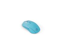 Souris Gaming sans Fil SteelSeries Rival 3 Wireless Gen 2 Aqua