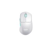 Souris gaming sans fil Xtrfy M64 Garantie 2 ans Technologie sans fil