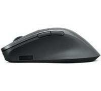 Souris Lenovo 4Y51J62544 Gris 2400 dpi