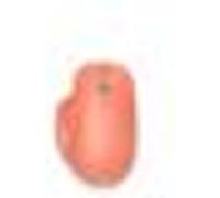 Souris Needle Hill 222-00039 Sans Fil Bluetooth Ergonomique 5 Boutons Pêche