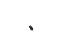 Glorious Gaming Souris PC Gaming Race Model D 2 PRO Wireless G