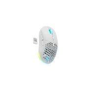Souris Newskill Blanc