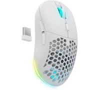 Souris Newskill Blanc G