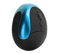 Souris Optique sans Fil, Souris Verticale Pratique Portable Ergonomique Pratique pour Le Bureau pour l'ordinateur pour la Maison pour Les Jeux (Bleu Ciel)