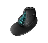 Souris Optique - Urban Factory - EPM50UF - 4000 dpi - Ergonomique - Rechargeable