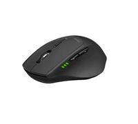 Rapoo Souris optique sans fil M550 Multi-mode 2,4GHz/BT3.0/BT4.0 Noir avec molette et boutons